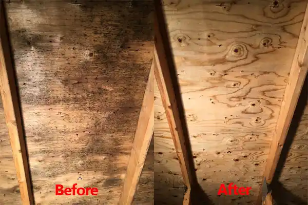 water damage restoration service La Mesa